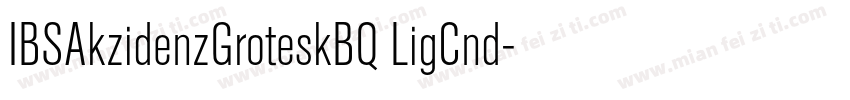 IBSAkzidenzGroteskBQ LigCnd字体转换